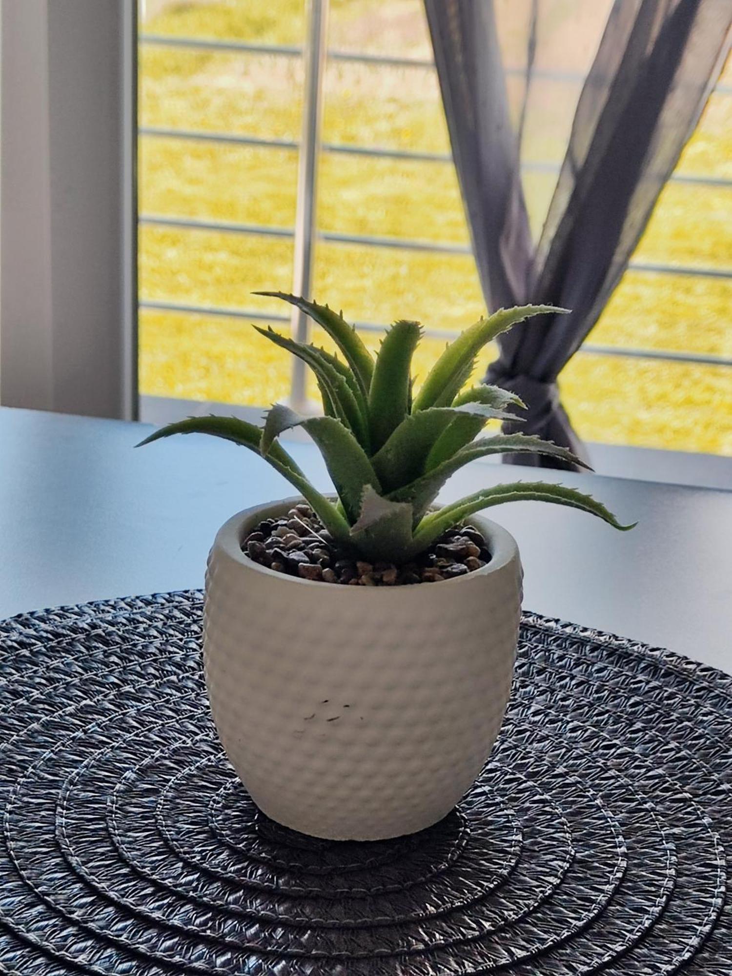 Apartman Marija Perusic Kültér fotó